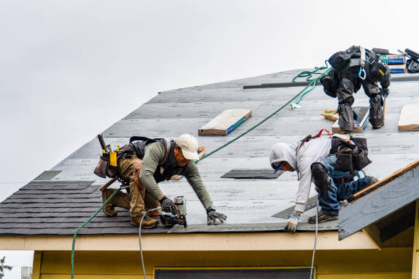Professional Gutter Installation technician working in Fleming Island, FL